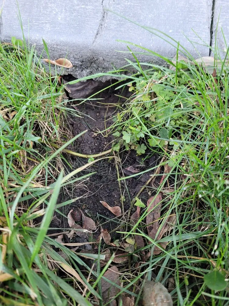 Top-rated lawn mowing service in DeForest, WI by Earthscapes Curb and Mulch