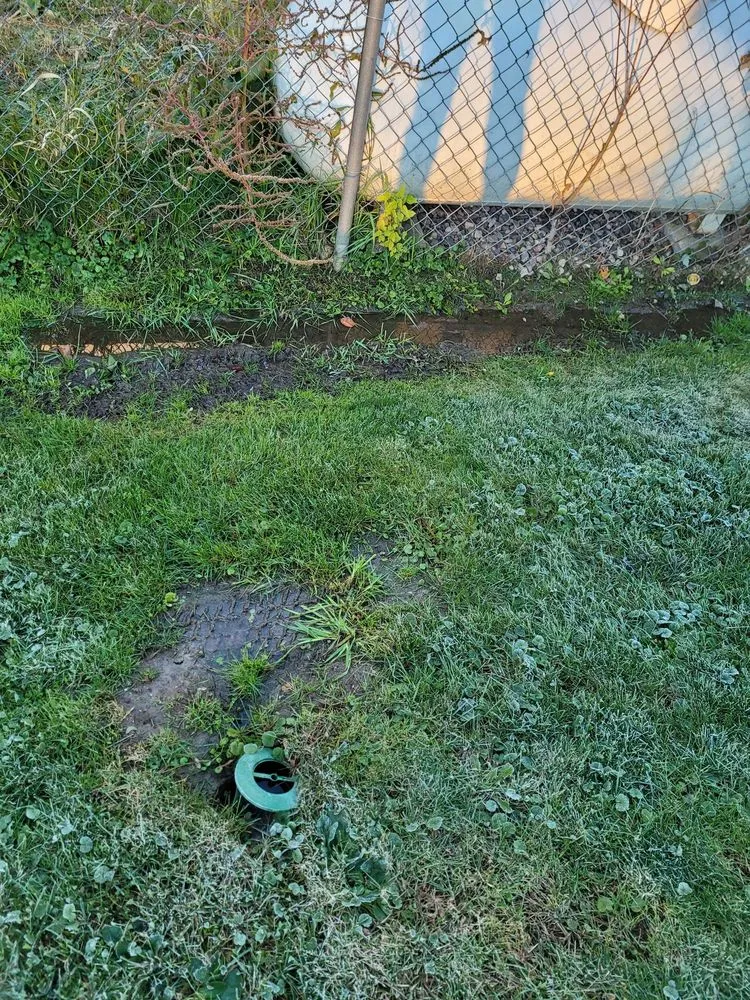 Affordable lawn care service for outdoor upgrades across DeForest, WI - Earthscapes Curb and Mulch