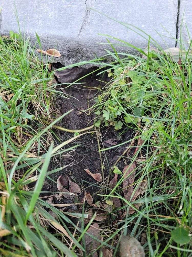 Top-rated landscape installation in DeForest, WI - Earthscapes Curb and Mulch
