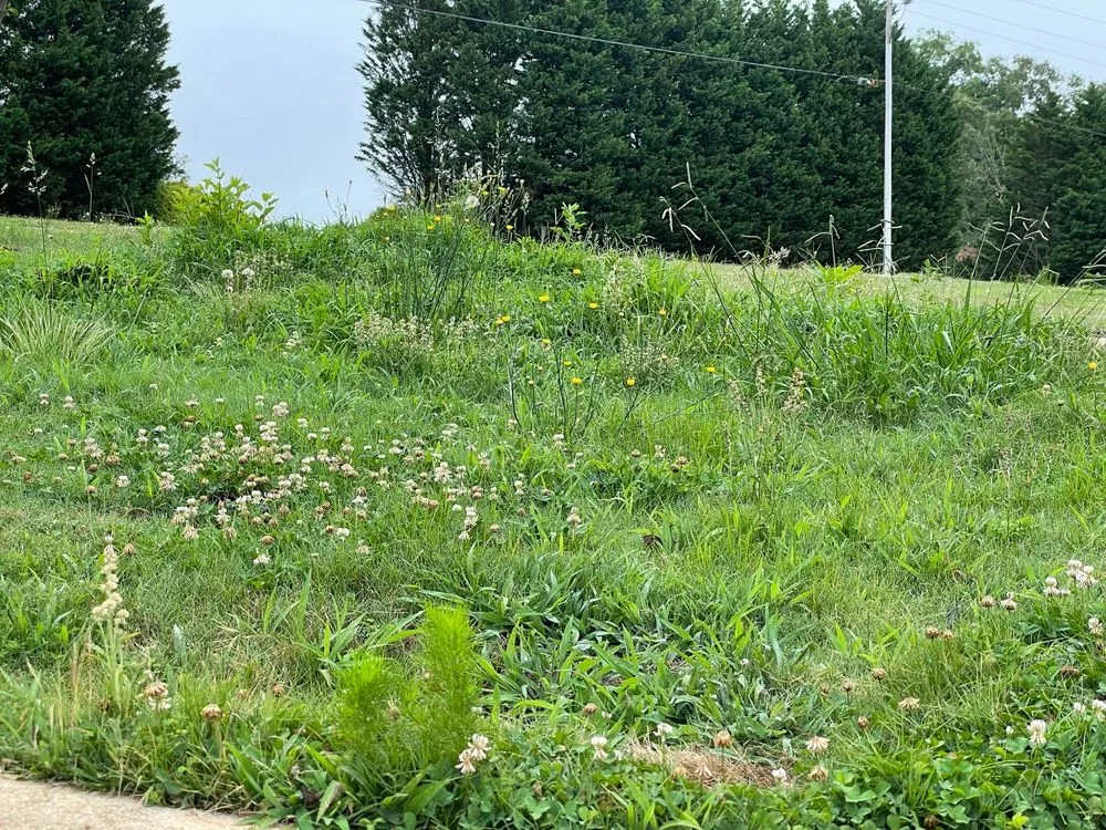 Top-rated outdoor landscaping for outdoor upgrades in Liberty, SC by Earthscapes Easley