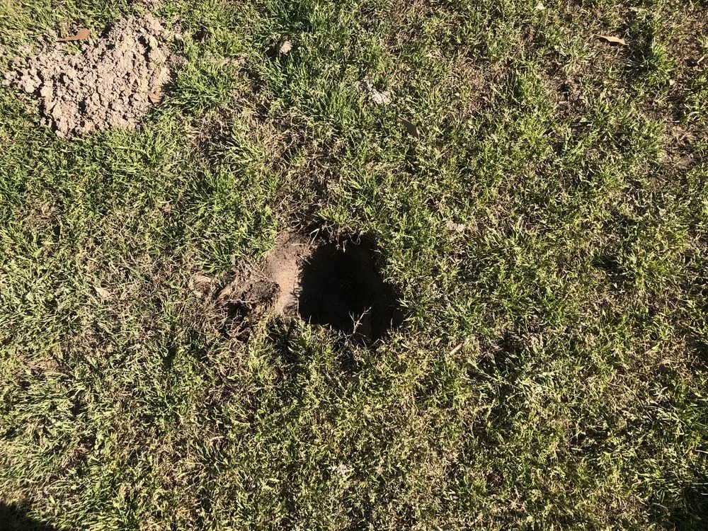 Professional garden landscaping in Liberty, SC by Earthscapes Easley