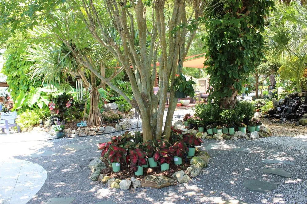 Top-rated lawn care service in Palm Harbor, FL - Earthscapes Landscaping