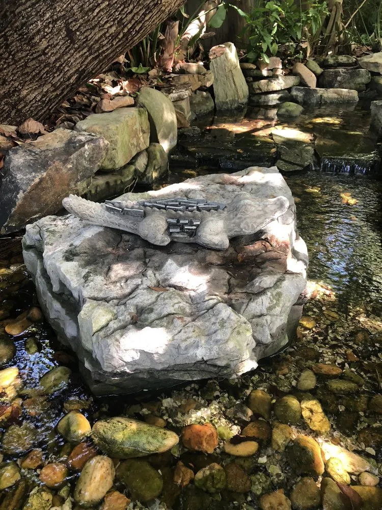 Local yard maintenance in Palm Harbor, FL - Earthscapes Landscaping