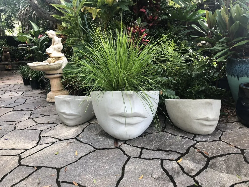 Professional yard cleanup service experts serving Palm Harbor, FL - Earthscapes Landscaping