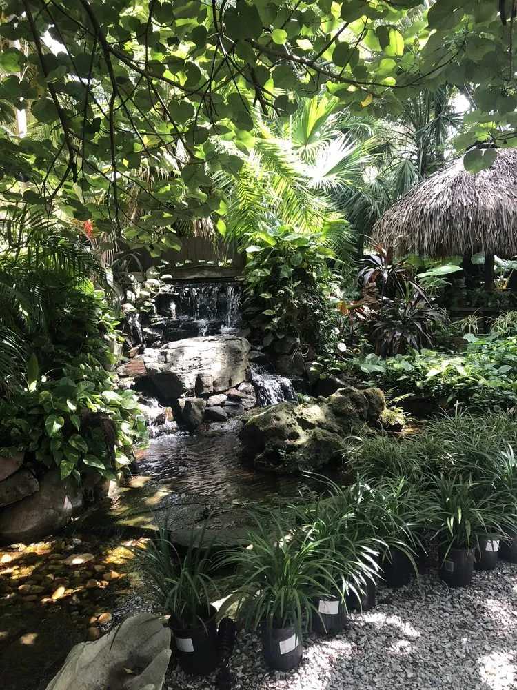 Top-rated landscape installation experts serving Palm Harbor, FL - Earthscapes Landscaping