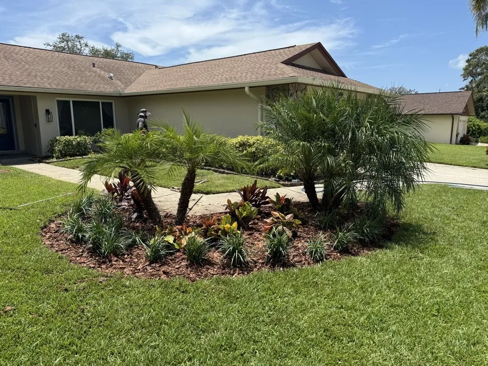 Professional yard cleanup service in Palm Harbor, FL - Earthscapes Landscaping