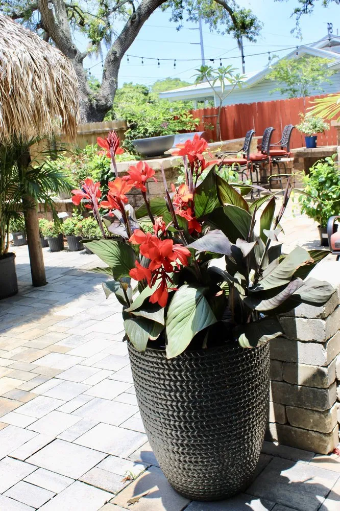 Custom residential landscaping in Palm Harbor, FL - Earthscapes Landscaping