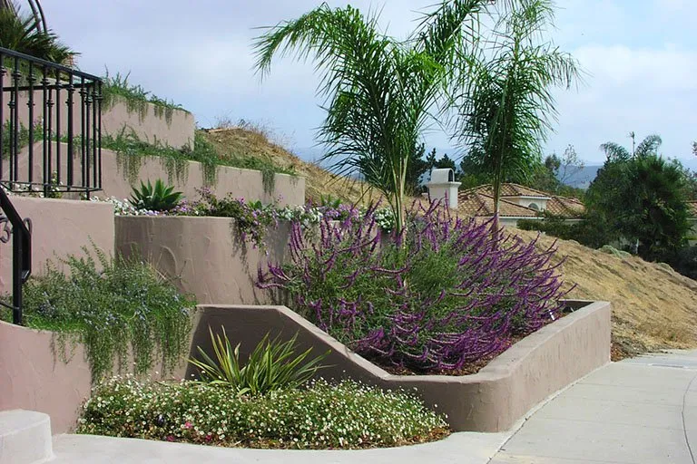 Reliable yard cleanup service in Los Osos, CA by Earthscapes