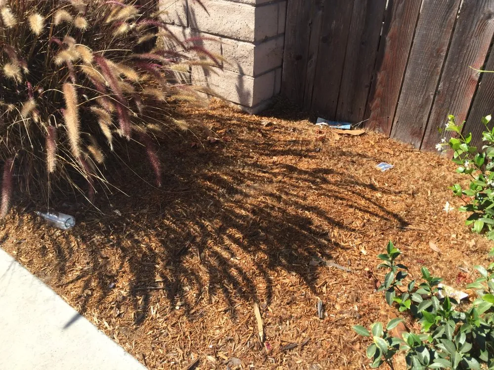 Reliable yard cleanup service for beautiful yards in Los Osos, CA by Earthscapes