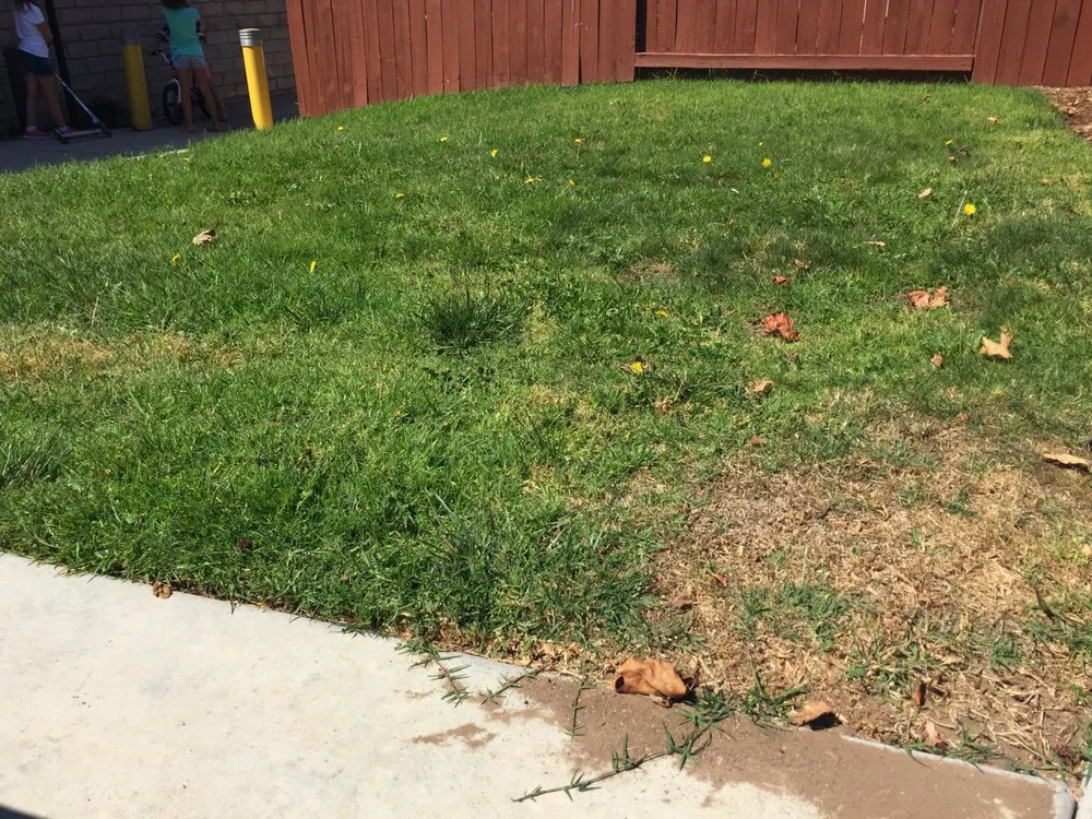 Expert yard maintenance for beautiful yards in Los Osos, CA by Earthscapes