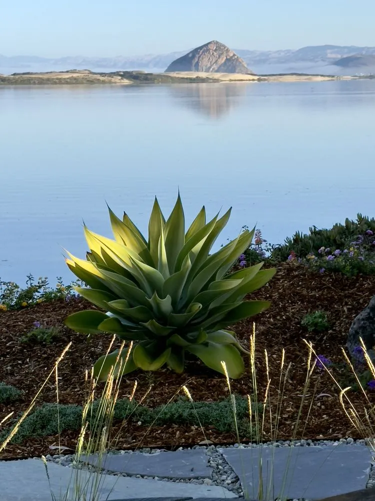 Custom landscaping services for year-round maintenance across Los Osos, CA - Earthscapes