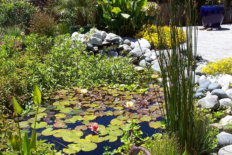 Custom landscaping services in Los Osos, CA - Earthscapes