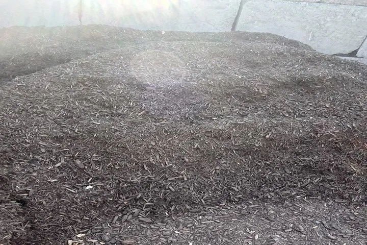 Local landscaping services in Marshall, WI by Earthscapes