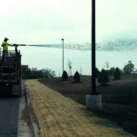 Local residential landscaping in Liberty, MO by EarthScapes of Liberty