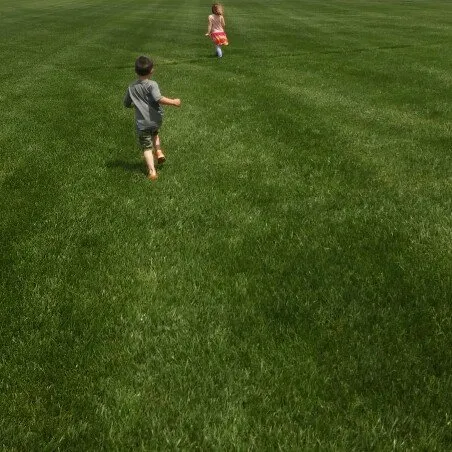 Local lawn mowing service experts serving Liberty, MO - EarthScapes of Liberty