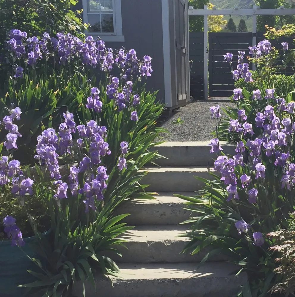 Custom lawn mowing service with custom design in Salt Lake City, UT by Earthscapes