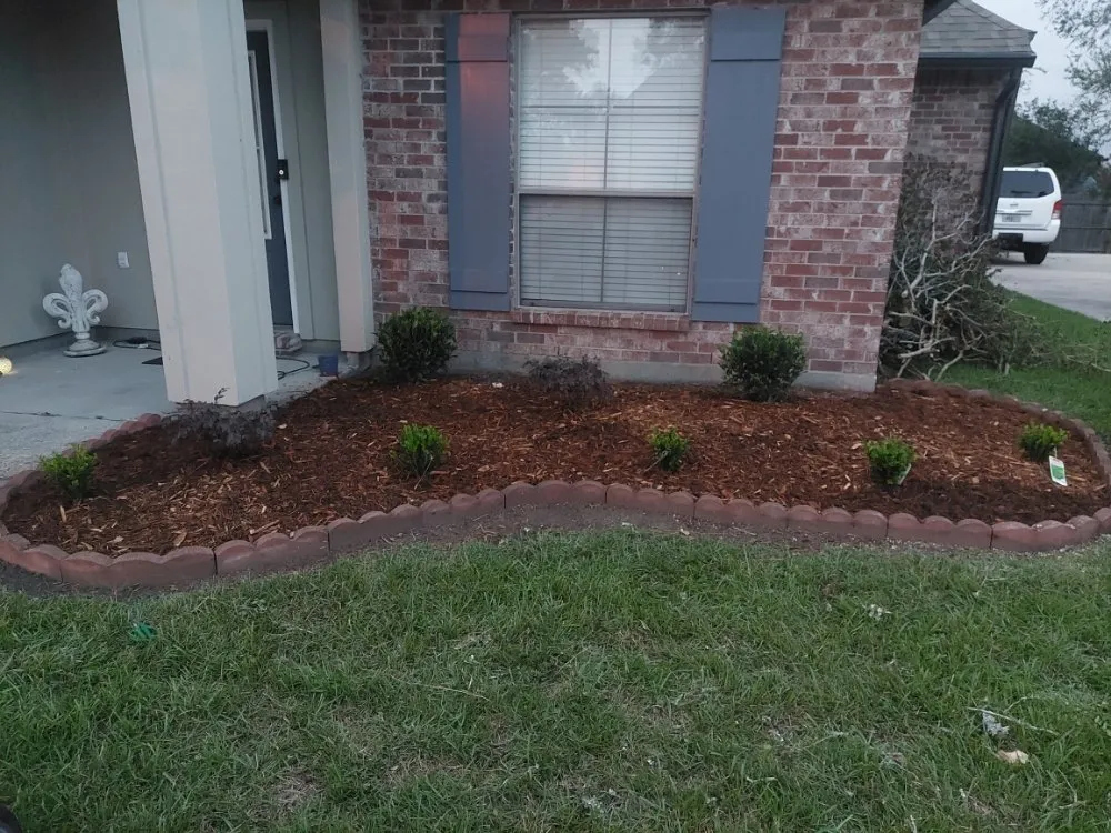 Top-rated yard maintenance for outdoor upgrades across Prairieville, LA - EarthScapings Landscaping & Outdoor Living