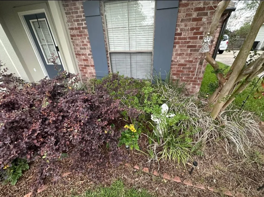 Local lawn care service for residential properties in Prairieville, LA by EarthScapings Landscaping & Outdoor Living