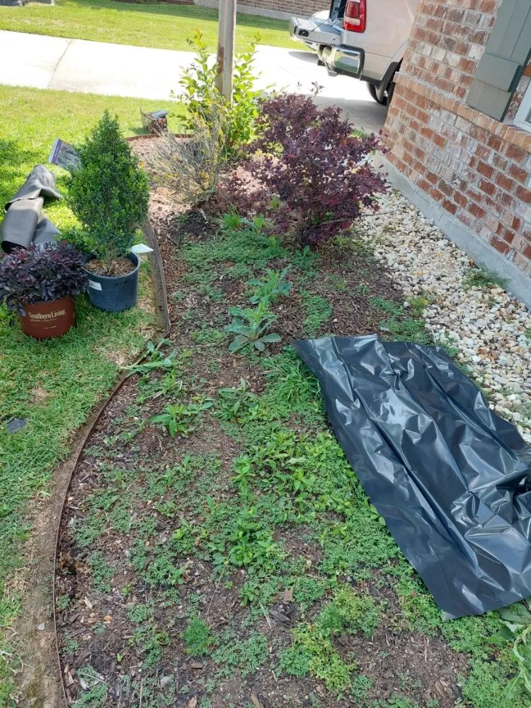 Reliable yard maintenance for residential properties in Prairieville, LA by EarthScapings Landscaping & Outdoor Living