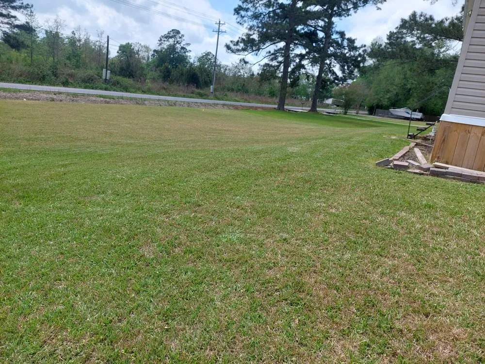 Reliable lawn care service in Prairieville, LA - EarthScapings Landscaping & Outdoor Living