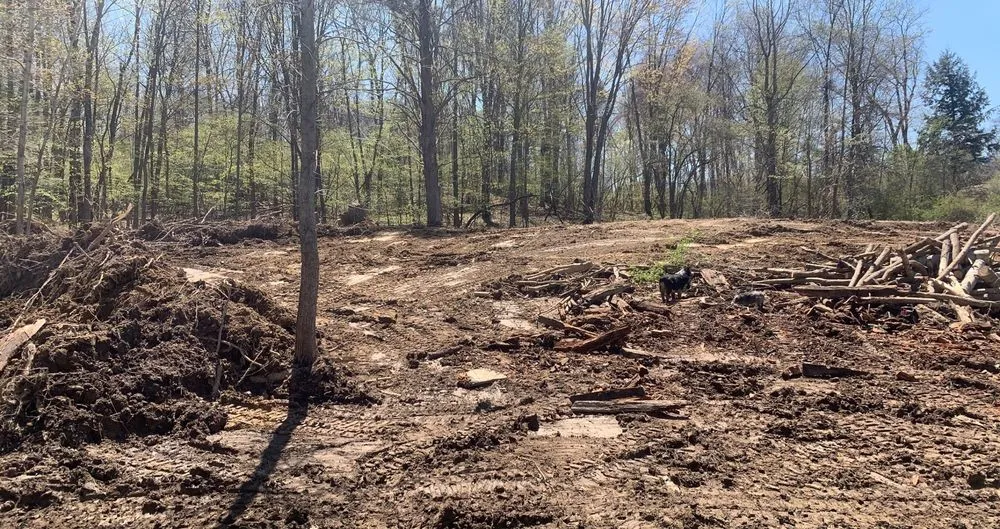 Expert residential landscaping in Irving, NY - Earthscore Excavating
