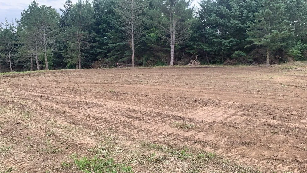 Expert lawn mowing service in Irving, NY by Earthscore Excavating