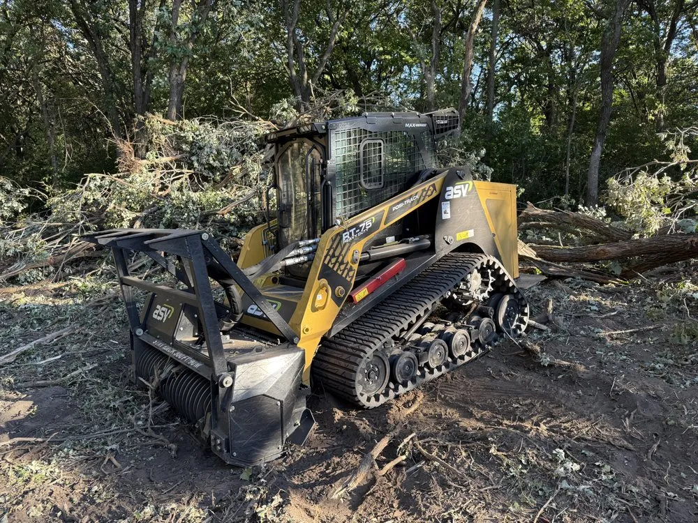 Professional lawn care service for beautiful yards in Big Lake, MN by Earthstone