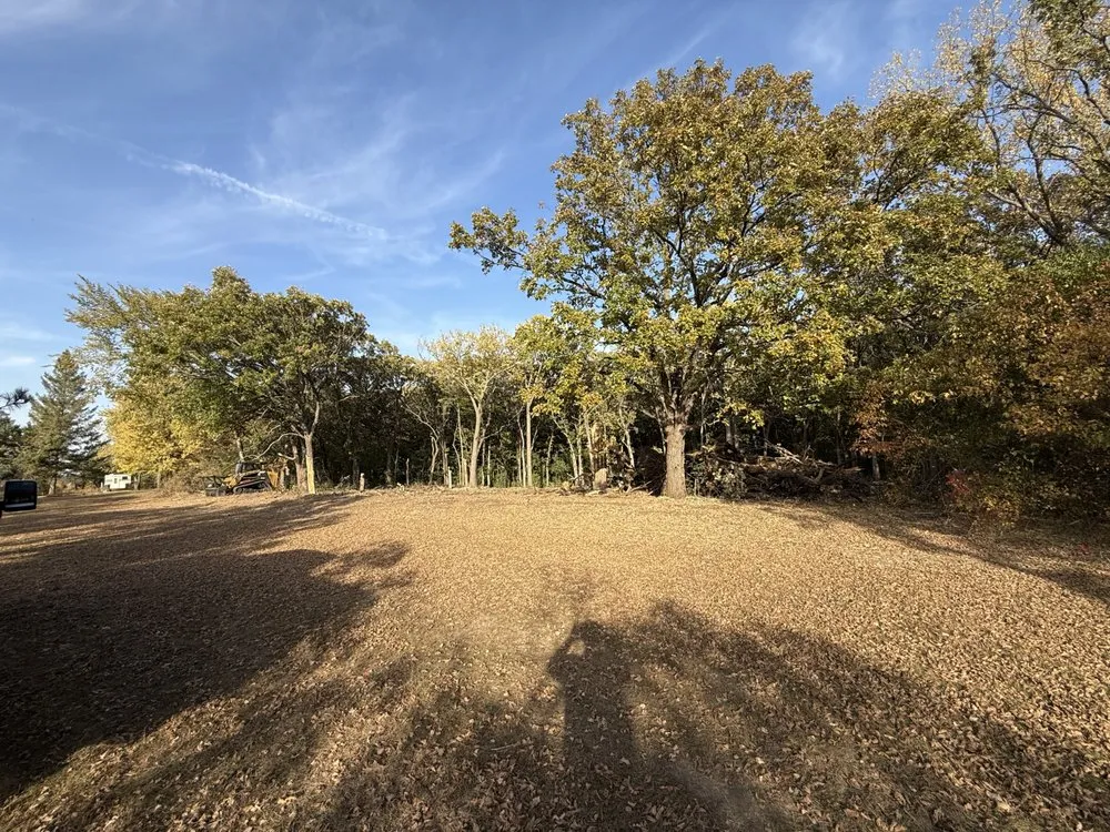 Top-rated lawn care service in Big Lake, MN by Earthstone