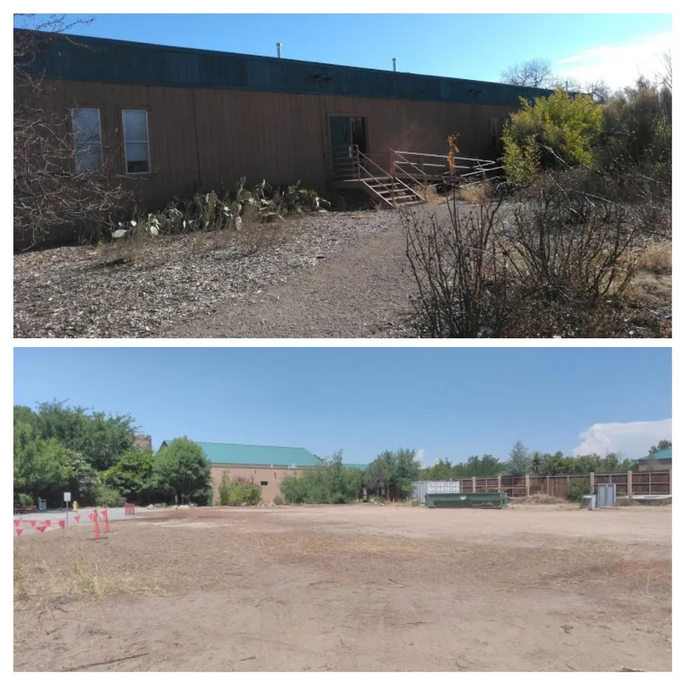 Expert landscape design for year-round maintenance in Albuquerque, NM by EarthTech