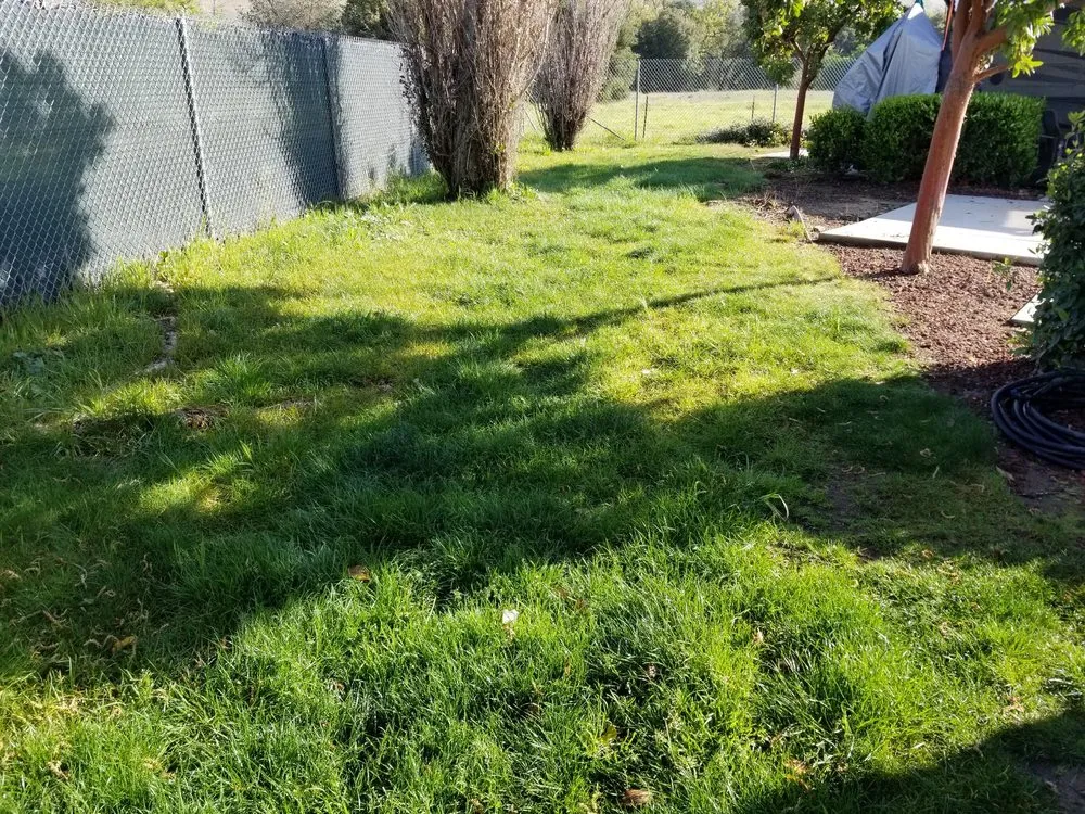 Professional yard maintenance experts serving San Martin, CA - Earthtech Landscape