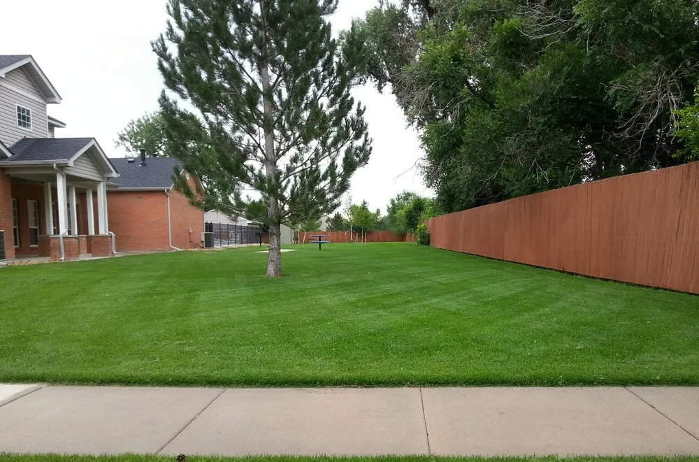 Reliable yard maintenance in Denver, CO by Earthtech Landscapes