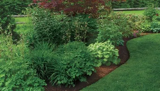 Expert garden landscaping in Newburgh, IN by Earthtone