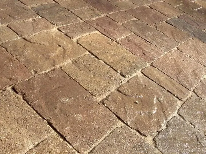 Professional landscaping services for outdoor upgrades across Newburgh, IN - Earthtone