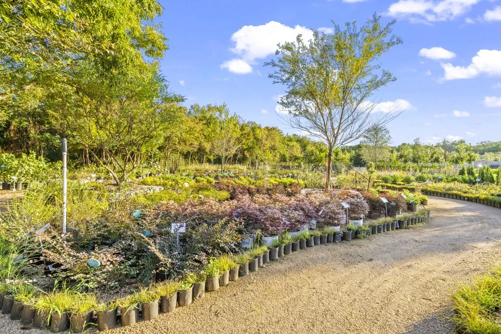 Trusted lawn care service for residential properties in Midlothian, TX by Earthtones Greenery