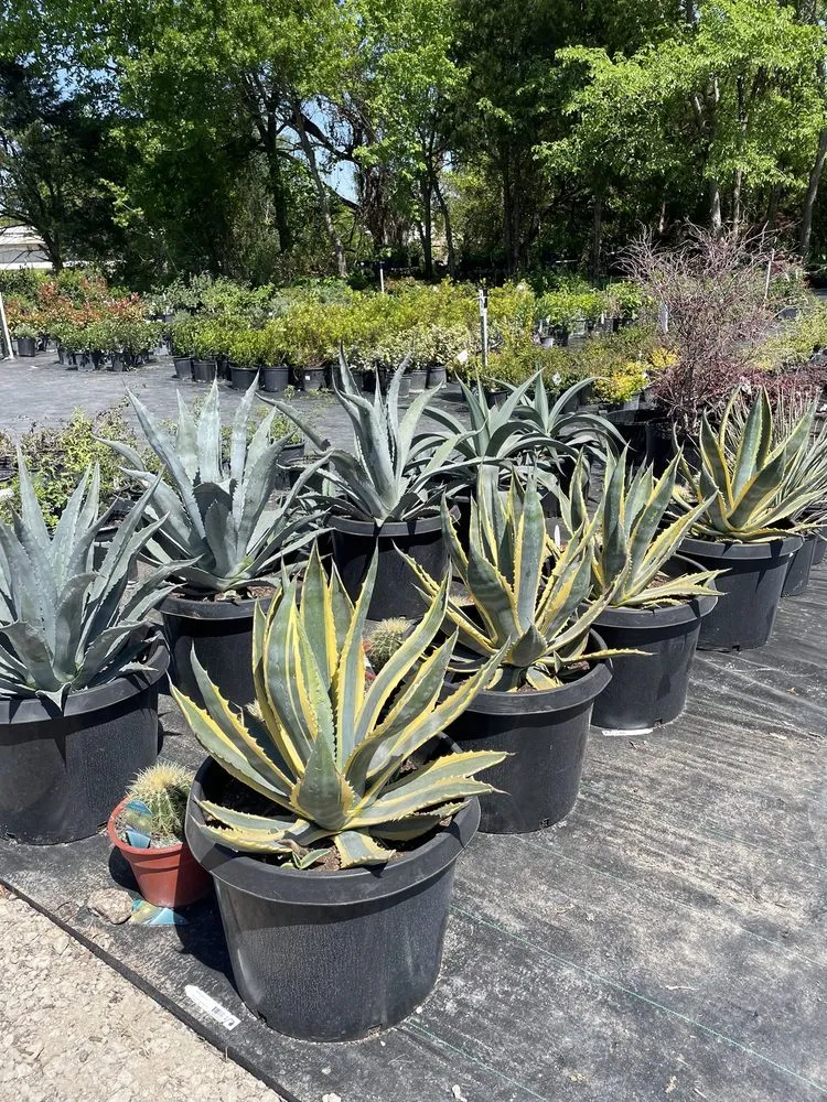 Trusted garden landscaping for year-round maintenance across Midlothian, TX - Earthtones Greenery