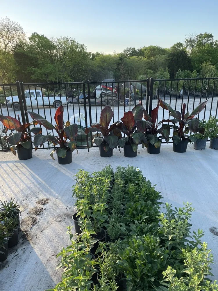 Affordable landscape design experts serving Midlothian, TX - Earthtones Greenery