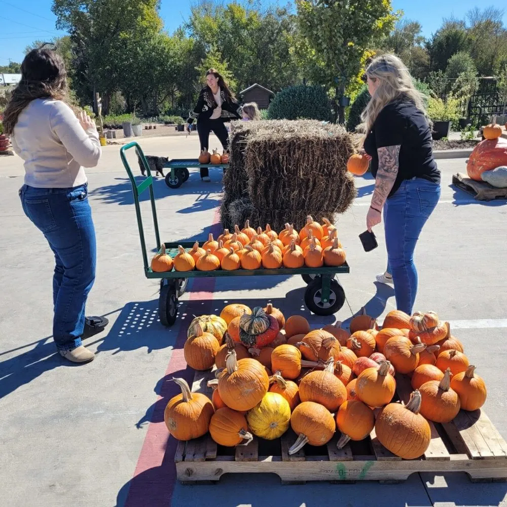 Top-rated yard maintenance in Midlothian, TX by Earthtones Greenery