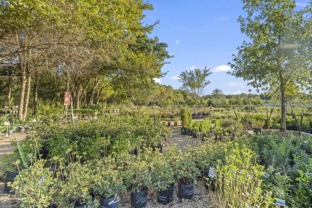 Trusted landscape installation in Midlothian, TX - Earthtones Greenery
