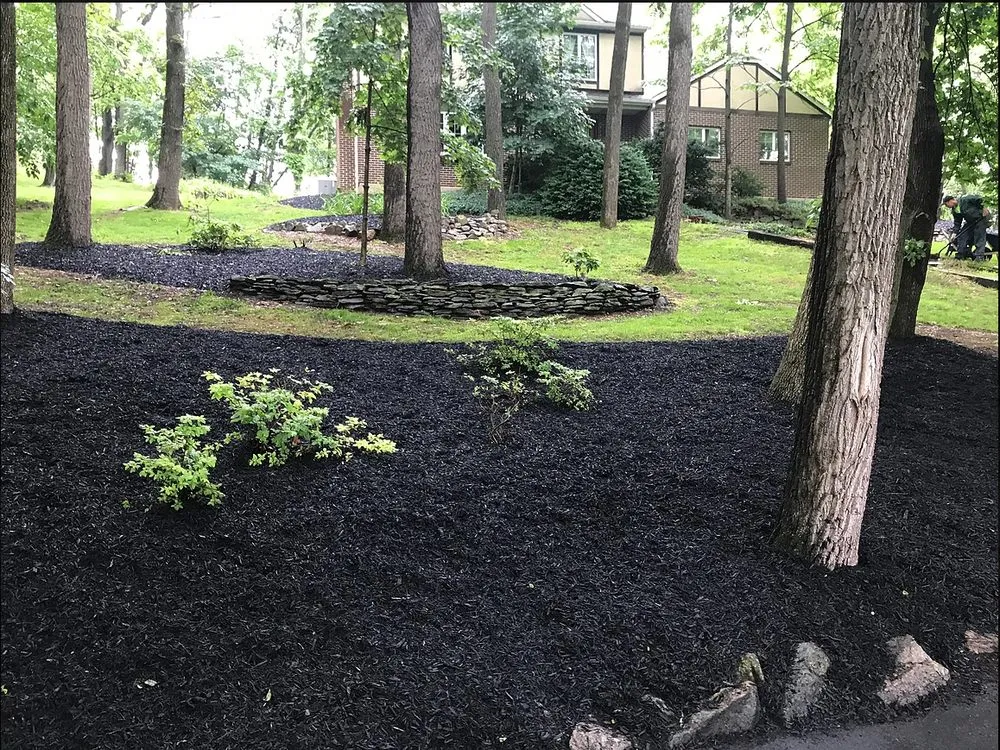 Professional yard cleanup service experts serving Walnutport, PA - Earthtones Outdoors