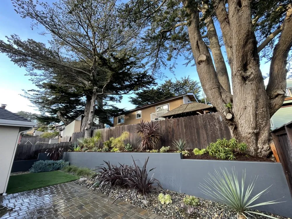 Local yard maintenance in Pacifica, CA by Earthtones