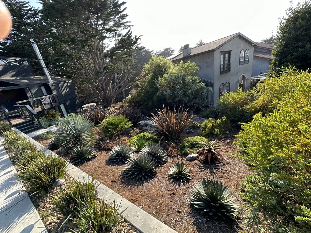 Top-rated landscape installation in Pacifica, CA by Earthtones