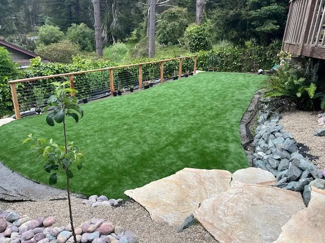 Reliable yard cleanup service in Pacifica, CA - Earthtones