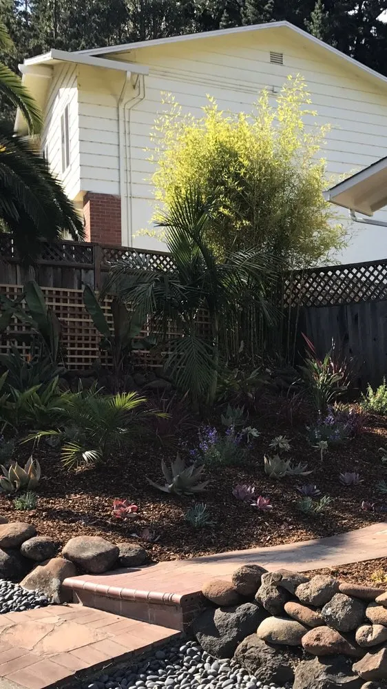 Professional landscaping services for year-round maintenance across Pacifica, CA - Earthtones