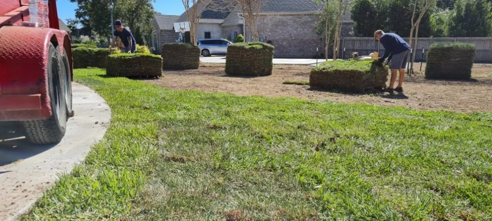 Top-rated lawn mowing service in Lafayette, LA - Earthware Landscape and Design