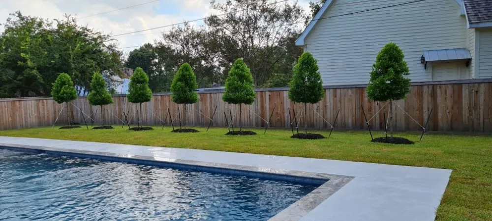 Affordable landscape design for outdoor upgrades across Lafayette, LA - Earthware Landscape and Design