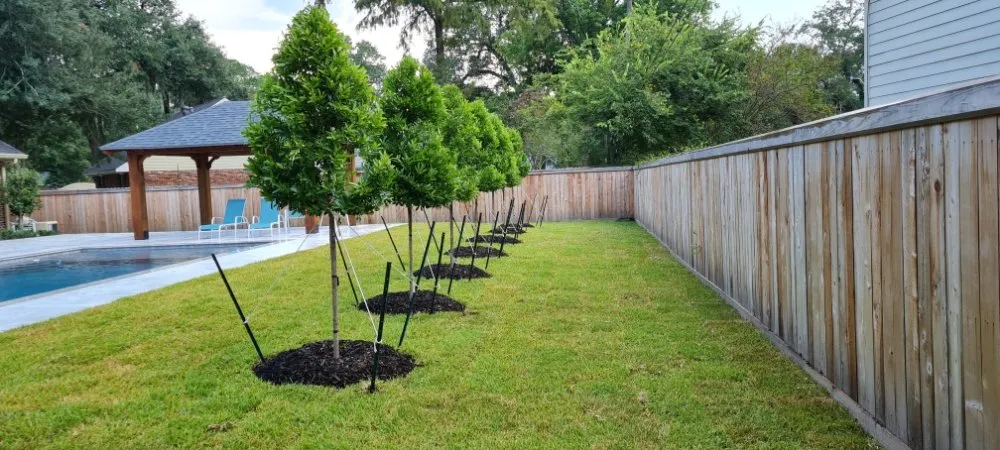 Professional yard cleanup service in Lafayette, LA - Earthware Landscape and Design