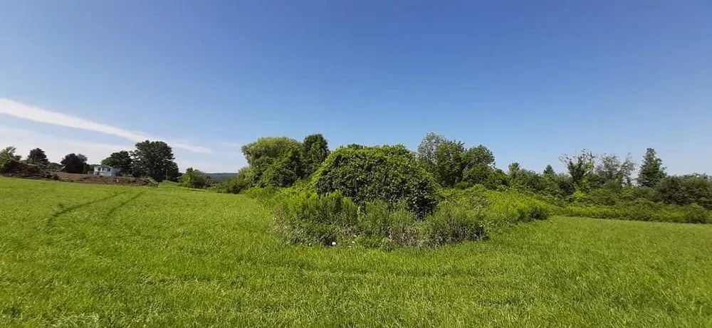 Affordable lawn care service in Amsterdam, NY by EarthWerx