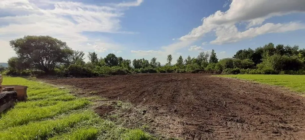 Expert yard cleanup service for year-round maintenance across Amsterdam, NY - EarthWerx