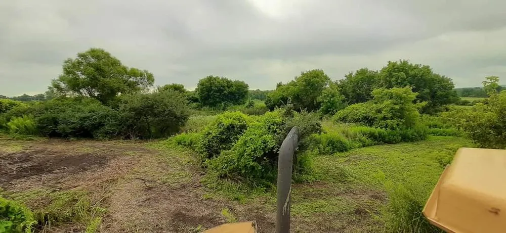 Affordable yard cleanup service in Amsterdam, NY by EarthWerx