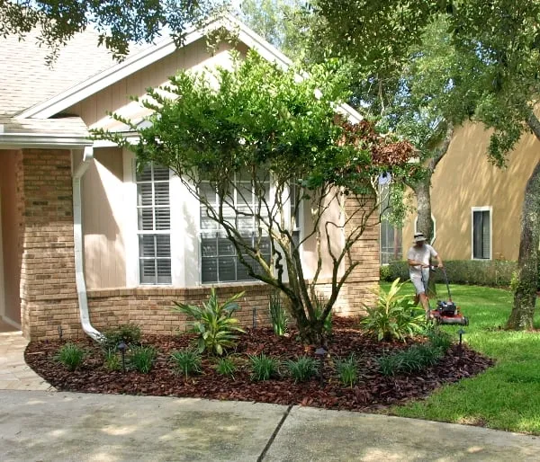 Professional landscape design in Sanford, FL by Earthwise Horticultural Services